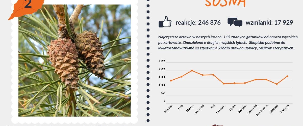 #PocztówkaZOgrodu
Czas na najwyższe lokaty!
#Sosna zdobywa drugie miejsce🥈
Zwycięzcą rankingu najpopularniejszych drzew zostaje 
#magnolia🥇
Gratulacje dla istnej królowej (nie tylko) wiosny! https://t.co/d6K9h0WgFo