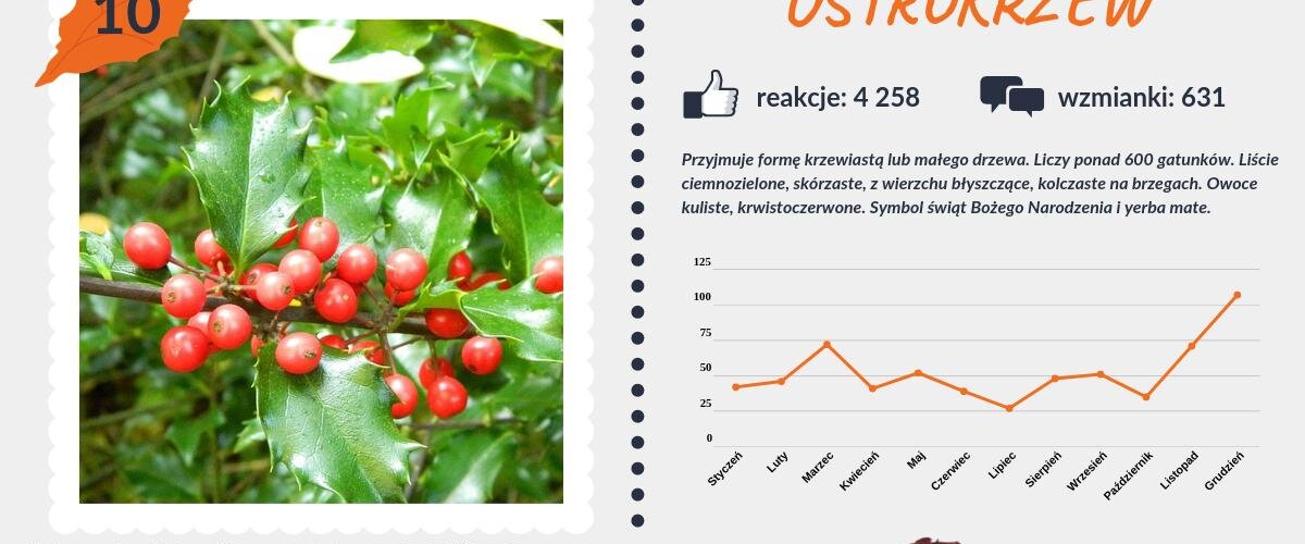 #PocztówkaZOgrodu
Kolejna dziesiątka - tym razem najpopularniejsze krzewy 🌾
Koniec stawki pod znakiem czerwieni #ostrokrzewu i #irgi 🔴 https://t.co/q6C3tGYGIo