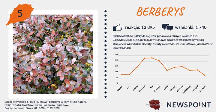 #PocztówkaZOgrodu
Pierwszą połowę rankingu najpopularniejszych krzewów w internecie zamykają #tawuła i #berberys 🌿