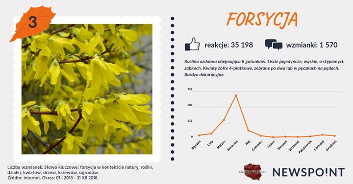 #PocztówkaZOgrodu
Zbliżamy się do końca. #Różanecznik i #forsycja to reprezentanci przedostatnich pocztówek zestawiających najpopularniejsze krzewy 🌱