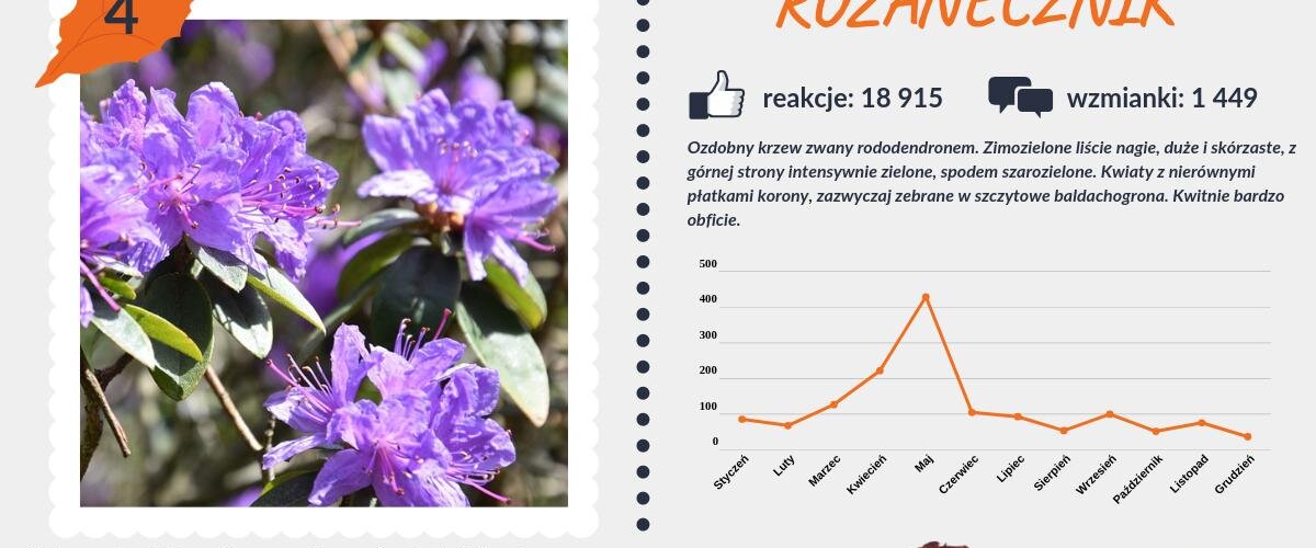 #PocztówkaZOgrodu
Zbliżamy się do końca. #Różanecznik i #forsycja to reprezentanci przedostatnich pocztówek zestawiających najpopularniejsze krzewy 🌱 https://t.co/XYVMbWjqPc
