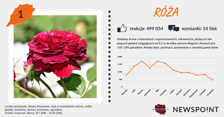 #PocztówkaZOgrodu
Nadszedł koniec naszego wakacyjno-ogrodowego projektu, gdzie przedstawiliśmy najczęściej wspominane drzewa i krzewy w internecie 🌞
Drugie miejsce zajmuje #lilak. Absolutną deklasacją popisała się jednak #róża...