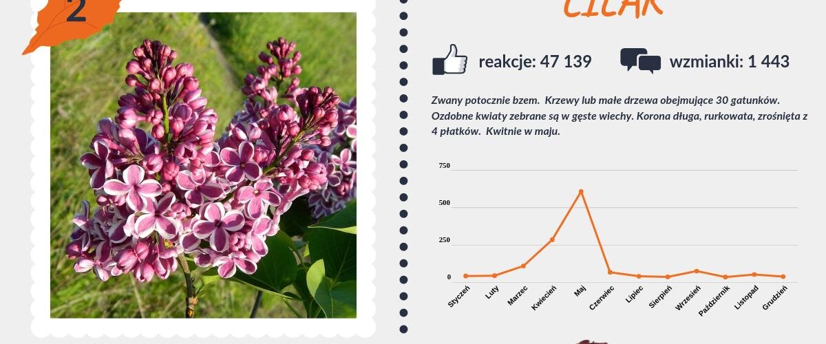#PocztówkaZOgrodu
Nadszedł koniec naszego ogrodowego projektu, gdzie przedstawiliśmy najczęściej wspominane drzewa i krzewy w internecie 🌞
Drugie miejsce zajmuje #lilak. Absolutną deklasacją popisała się jednak #róża 🌹
Pobierz...
