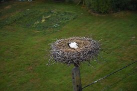 DSC_6711.jpg