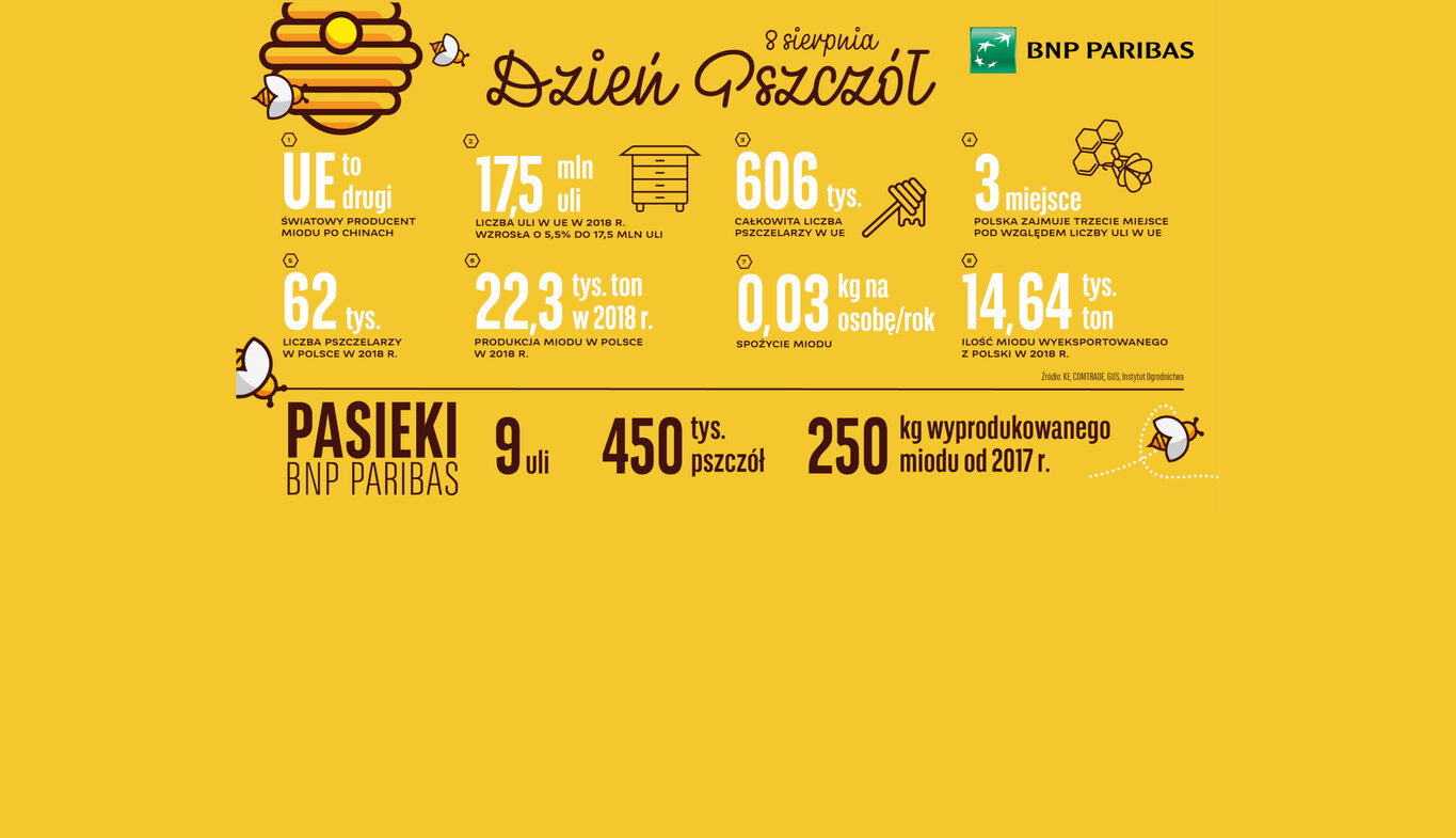 Polska miodem płynąca. Wzrost produkcji w całym kraju i…na dachu Banku BNP Paribas