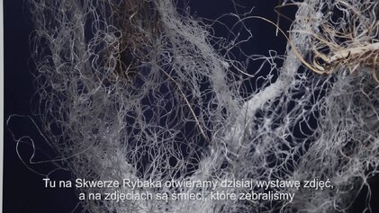 301248563293431 3785051314913121