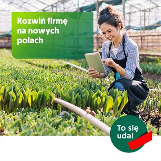 301248563293431 3962766823808235