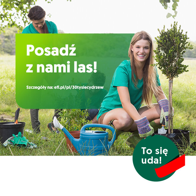 EFL sadzenie drzew