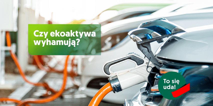 EFL zielone aktywa