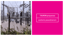 Wyniki Grupy TAURON (33)