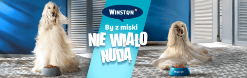 100 powodów, żeby wybrać Winstona