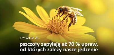 EDUKACJA 1-1190x583 