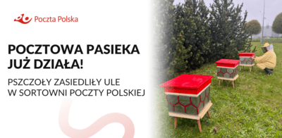 Pocztowa pasieka w Lublinie już działa 