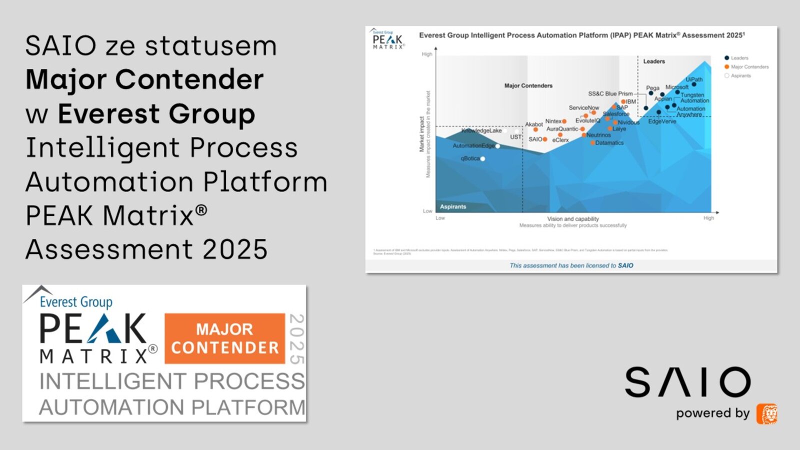 SAIO od ING jedyną polską firmą w globalnym rankingu Everest Group