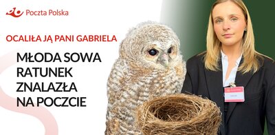 Kopia – BIURO PRASOWE - NOWY WYMIAR - LAYOUT (17) 