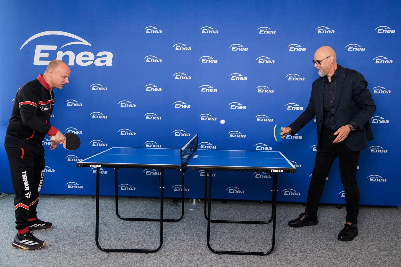 title=Enea