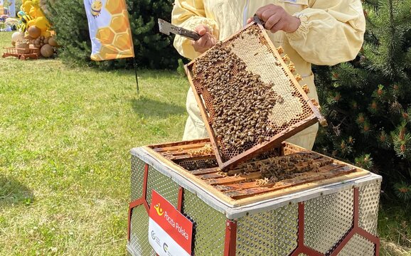 Pasieka pocztowa w Lublinie1 