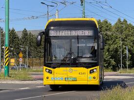 Nesobus foto (1)